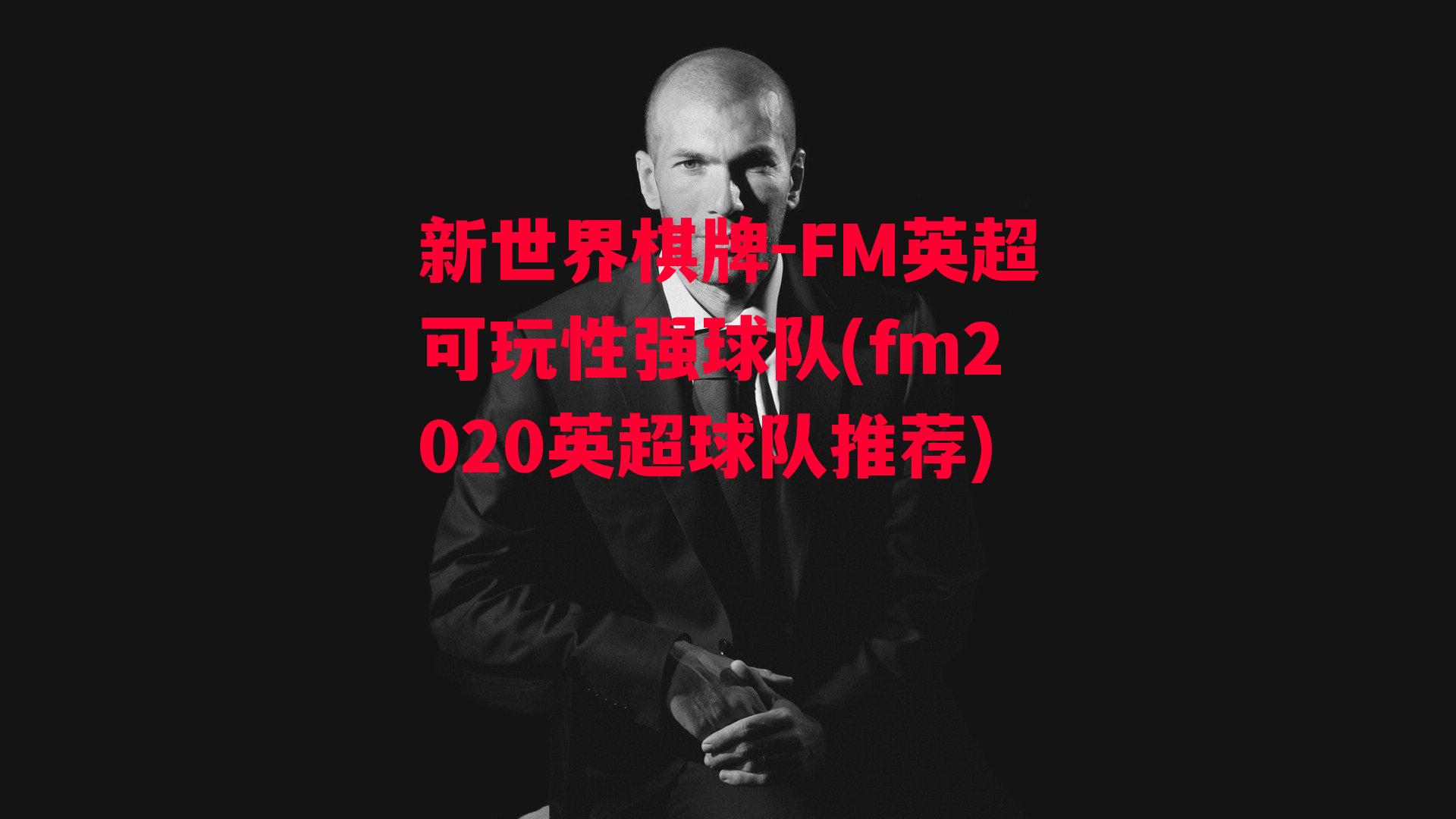 FM英超可玩性强球队(fm2020英超球队推荐)